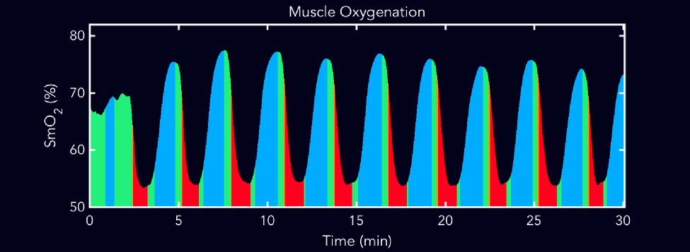 muscle oxygenation
